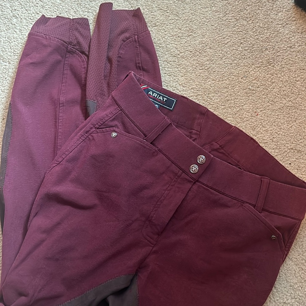 Ariat English riding pants